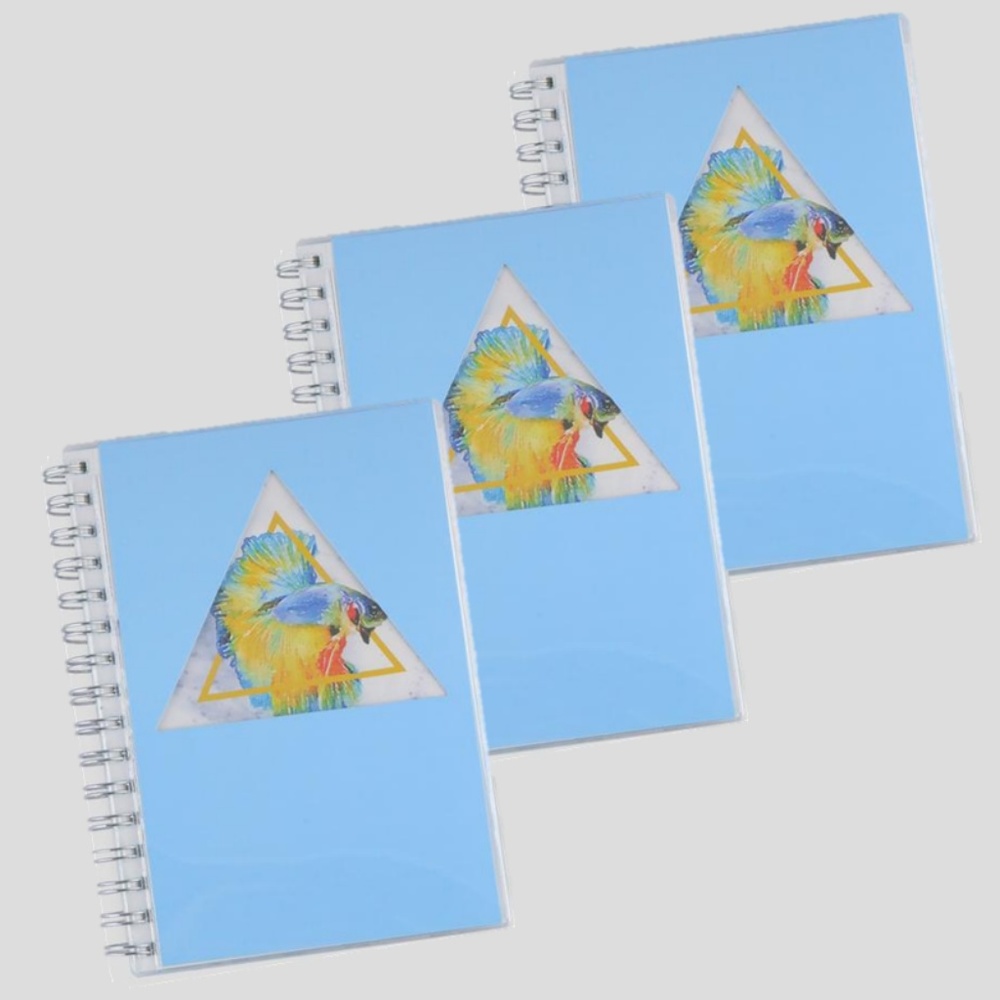 Miliko Rumble Fish Triangle 3 Notebooks(Dot Grid)